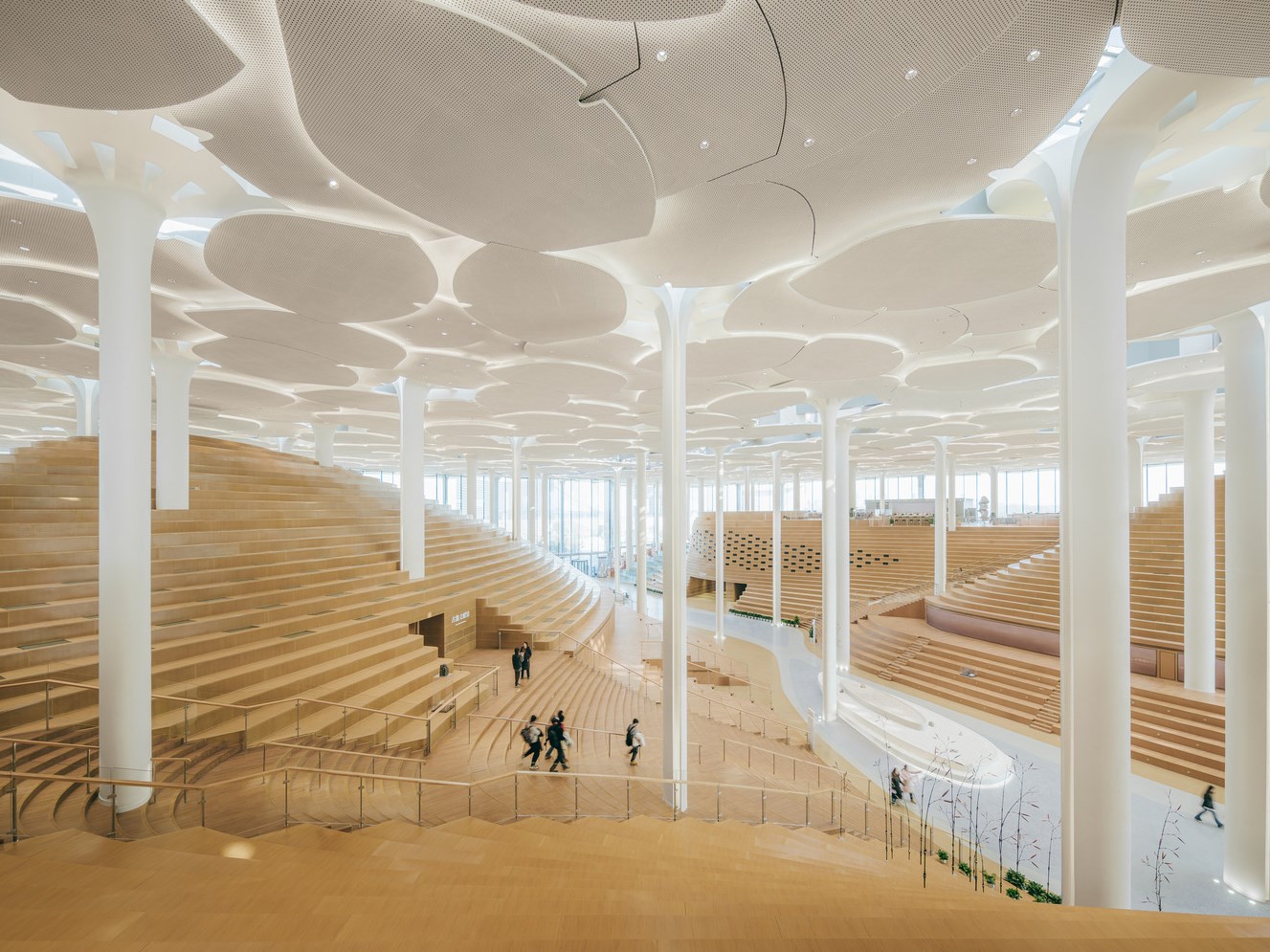 世界最大的氣候閱讀空間！走訪 Snøhetta 設計的北京城市圖書館，一同在銀杏樹冠下讀書
